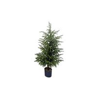 CM Norfolk  Christmas Tree Front Door Christmas Tree Decoration Indoor Living Room Christmas Decoration One Size
