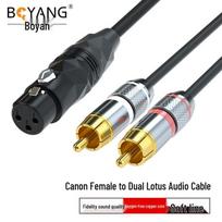 Boyang XLR Female to Dual RCA Audio Cable 12m
