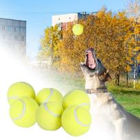 6pcs Pet Dog Bite Ball Toys For Small Dogs Rubber Chew Puppy Toy Dog Stuff Dogs Toys Pets Tennis Launcher Small Ball
