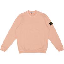 Stone Island Logo Patch Crew Neck Long Sleeve Sweatshirt Men sweatshirt L1S156100034S0060-V018E M