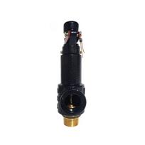 A27W-16T10 Air Tank Steam Spring Safety Valve DN15