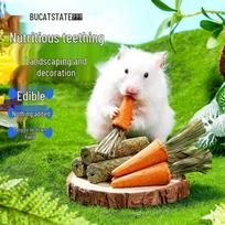 Hamster Carrot & Molar Chew Sticks