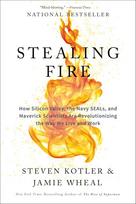 Stealing Fire How Silicon Valley Paperback z198 IND -M86