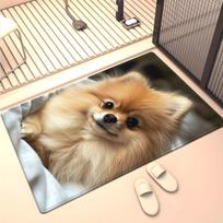 Cute Pomeranian Dog Print Crystal Velvet Rug Soft Anti Slip Living Room Floor Mat Pet Lover Home Decor Animal Themed Carpet 50x 80cm