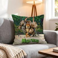 Movie Madagascar Cushion Cover 4Pcs Decorative Covers Soft Cushion Case for Sofa Couch Decor 40x40 45x45 Pillowcases 4PCS