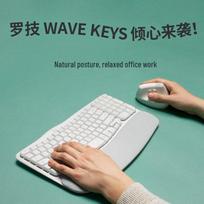 Logitech Wave Keys Wireless Ergonomic Keyboard