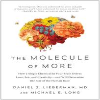 The Molecule of More Paperback