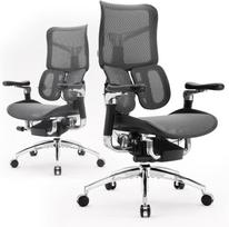 SIHOO Doro S300 Ergonomiška biuro kėdė - 6D porankiai - Dinaminė juosmens atramos sistema juoda