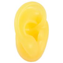 Soft Silicone Ear Model Body Jewelry Reuseable Earrings Display Stand Teaching Props Ear Stud Display Tools Teaching Props