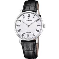Vyriškas laikrodis Festina F20012/2