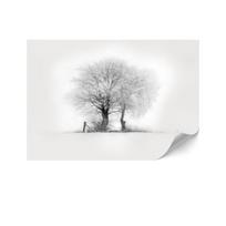 Fototapeta Flizelinowa Premium - 250 X 175 Cm - Styl Minimalistyczny - Natura