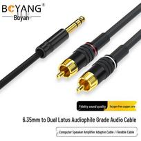 Boyang 6.35mm to Dual RCA Stereo Audio Cable