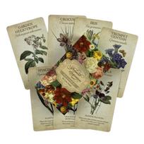 Wheel Of The Year Tarot Cards Divination Deck English Versions Edition Oracle Board Playing Game For Party