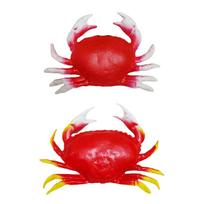 Authentic Looking Crab Replicas Decoration For Festival Event And Retail Displays In Portable ABS Construction S