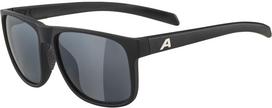 Large Lens Sports Sunglasses Mirror Lens NACAN III [Alpina]