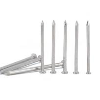 304 Stainless Steel Round Head Cement Wall Nails