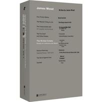 How Fiction Works by James Wood