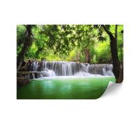 Fototapeta Flizelinowa Premium - 250 X 175 Cm - Styl Eklektyczny - Natura