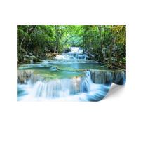 Fototapeta Flizelinowa Premium - 250 X 175 Cm - Styl Eklektyczny - Natura