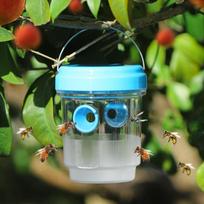 Solar Bee Trap Catcher Orchard Bee Trap Wasp Insect Drosophila Trap