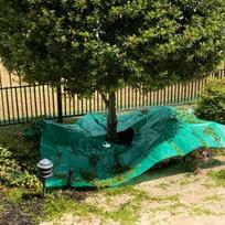Garden Cleanup Landscape Pruning Tarp with 12 inch Holefor Fast Collection China Mainland