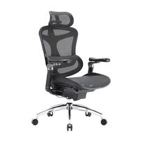 SIHOO Doro C300 Pro Ergonomiška biuro kėdė - 5D porankiai, Savaime prisitaikanti juosmens atrama, Tinklelio atlošas juoda