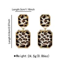 Geometric Oval Square Leopard Print Drop Earrings for Women Ladies Trendy Street Style Exaggerated Pendant Earrings Jewelry Gift