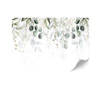 Fototapeta Flizelinowa Premium - 250 X 175 Cm - Styl Eklektyczny - Natura