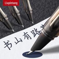 Liupintang Art Calligraphy Fountain Pen - Curved Nib