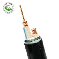 ZC-YJV22 Copper Armored Power Cable 2x10mm² 1 Meter