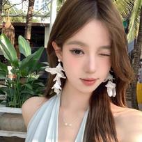 Fashionable Drop Earrings Elegant Ear Jewelry Wedding Accessories Ear Hook  Woman