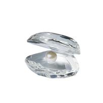 Room Decor Exquisite Crystal Pearl Clam Creative Artificial Crystal Crafts Unique Desktop Ornament Girlfriend Boyfriend Baby