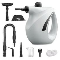 Handheld Pressurized Steam Cleaner with Water Tank Pressurized Handheld Steam Cleaner for Window Grime Grease 220 V pilka