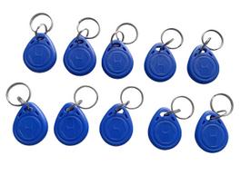 RFID Rewritable 125kHz ID T5577 Waterproof Access Control Key Fob (10 Pack) (Blue)