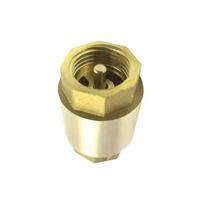 Water Meter Vertical Check Valve