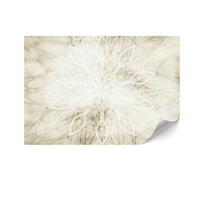 Fototapeta Flizelinowa Standard - 250 X 175 Cm - Styl Hinduski-Boho - Tła I Desenie