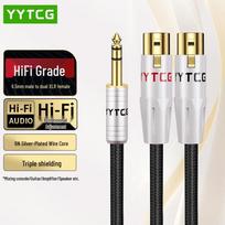 YYTCG 6.5mm TRS to Dual XLR Audio Cable 1m