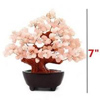 7 colių kvarcinio kristalo pinigų medis bonsai Feng Shui brangakmenių dekoracija turtui ir sėkmei