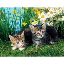 Diamond Painting Full Drill Round A Dedicated Cat Mosaic DIY Diamond Painting Cross Stitch 20X30CM blue