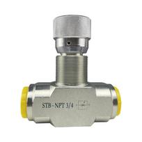Single Way Throttle Check Valves High Pressure Hydraulic Cylinder Speed Control Valves For Pipe Fittings Easy to Install