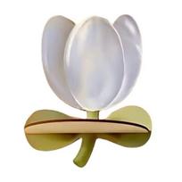 Wooden Tulip Floating Wall Shelf Bohemian style Display Shelf Minimalist Wall Shelves  Cafe Shop