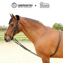 Cross Training Horse Taming Equipment - Equestrian Supplies #8218083 One size