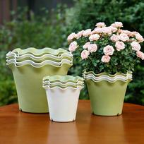 Flowerpot With Leaf Edge, Thickened Plastic, Indoor Balcony, High Appearance Level ,wavy Edge Pot