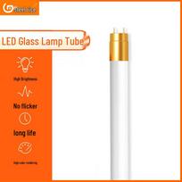 LED T8 Fluorescent Tube Light, 10-Pack