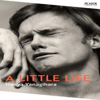A Little Life by Hanya Yanagihara Paperback Book 9781529077216
