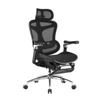 SIHOO Doro C300 Pro JT Ergonomic Office Chair - 5D Armrests, Self-Adjusting Lumbar Support