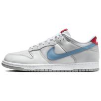 Nike Dunk Low  Silver Surfer  HF0391-001 46