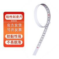 Self-Adhesive Carbon Steel Measuring Tape 5m x 13mm