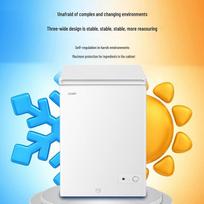 Haier 100L Mini Chest Freezer CN plug (adapter included)