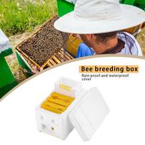 Beehive Pollination King Bees Hive Box Beekeeping Tools For Beekeeper Supplies China Mainland